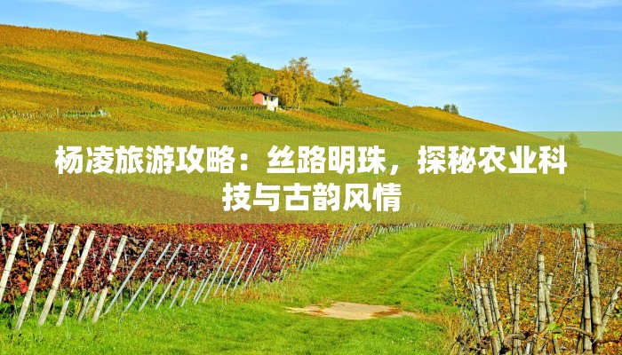 杨凌旅游攻略：丝路明珠，探秘农业科技与古韵风情