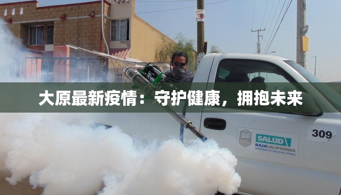 大原最新疫情：守护健康，拥抱未来