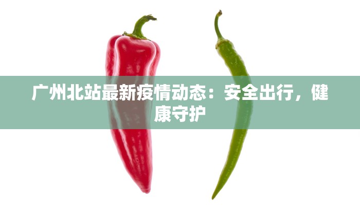 广州北站最新疫情动态：安全出行，健康守护