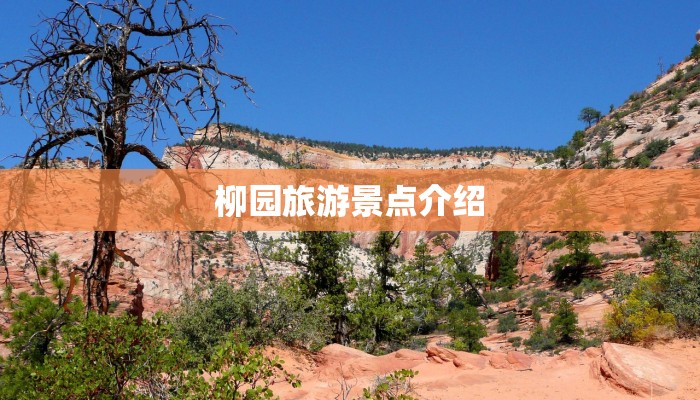 浙江长青疫情最新消息