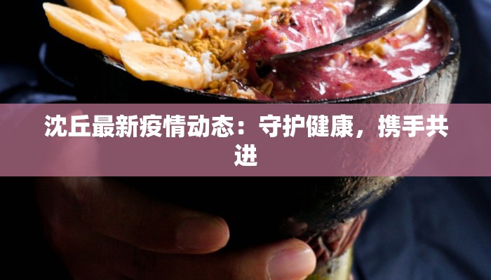 沈丘最新疫情动态：守护健康，携手共进