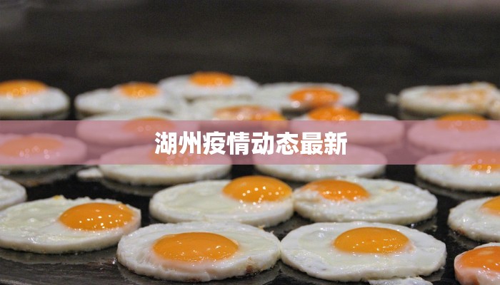 湖州疫情动态最新