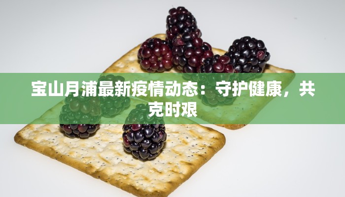 宝山月浦最新疫情动态：守护健康，共克时艰