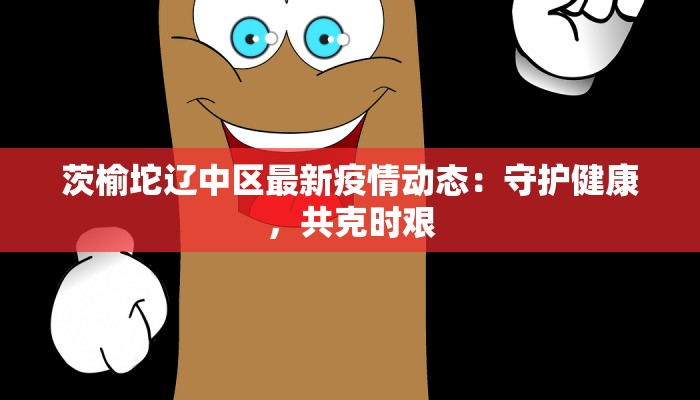 茨榆坨辽中区最新疫情动态：守护健康，共克时艰