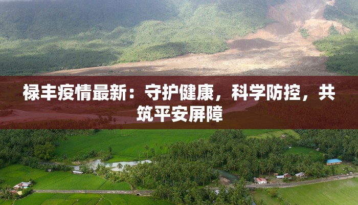 禄丰疫情最新：守护健康，科学防控，共筑平安屏障