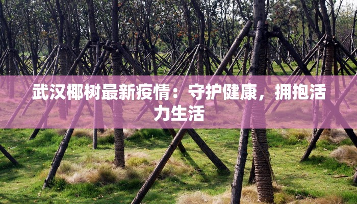 武汉椰树最新疫情:守护健康,拥抱活力生活 武汉椰树最新疫情:守护健康,拥抱活力生活