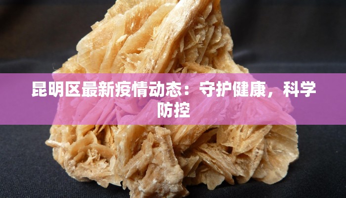 昆明区最新疫情动态：守护健康，科学防控